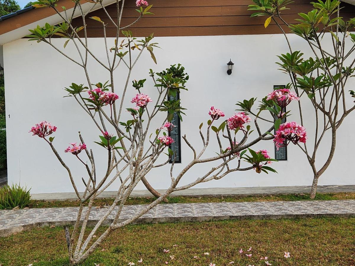 Halcyon Days @ Langkawi Apartman Pantai Cenang  Kültér fotó